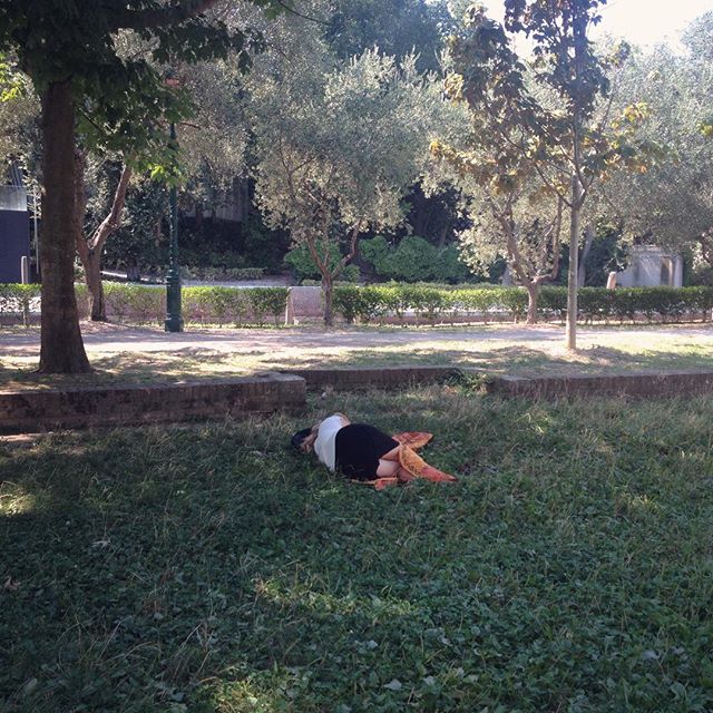 11249279_417301235143214_1089791380_n